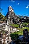 Maya Pyramids, Tikal #7