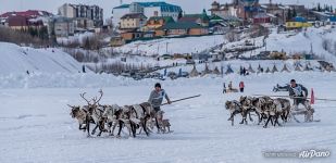 Aksarka Village, Ob River. Reindeer Herder’s Day