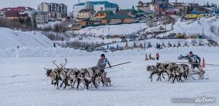 Aksarka Village, Ob River. Reindeer Herder’s Day Aksarka Village, Ob River. Reindeer Herder’s Day