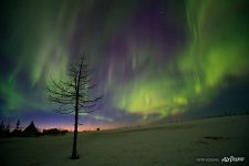 Northern Lights in Yamal