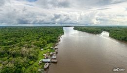 Jungle and the river Jungle and the river