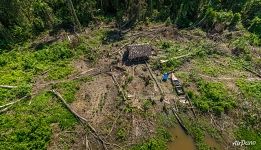 Deforestation for settlement