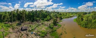 Deforestation for settlement