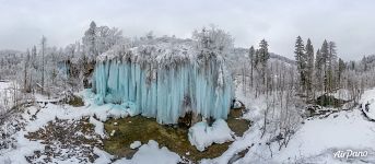 Forest waterfall