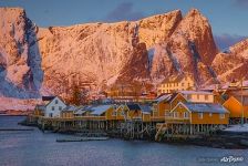 Snow at Lofotens