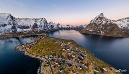 Reine Reine