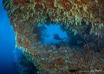 Southern Maldives. Diving