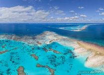 Coral reef Coral reef
