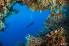 Underwater World of Southern Maldives
