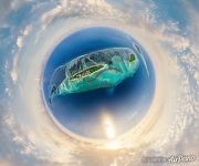 Falhumaafushi Island. Planet Falhumaafushi Island. Planet