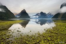 Milford Sound, New Zealand Milford Sound, New Zealand
