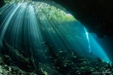 Pit Cenote, Mexico