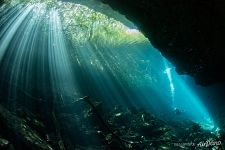 Pit Cenote, Mexico Pit Cenote, Mexico