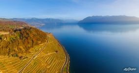 Vineyards and Lake Geneva Vineyards and Lake Geneva