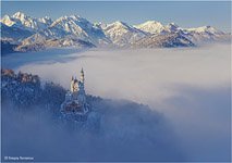 Neuschwanstein Catle in the winter #9