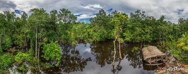 Venezuela, Delta of Orinoco River