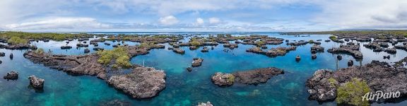 Near Cabo Rose, Isabela Island