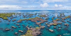 Near Cabo Rose, Isabela Island