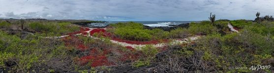 Galapagos Archipelago
