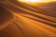 Golden Sands of the Sahara