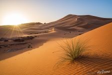 Sahara landscape Sahara landscape