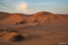 Sahara landscape