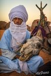 Tuareg and camel