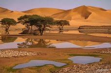 Water in the Sahara Desert