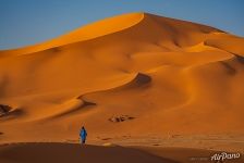 Sahara Desert Sahara Desert