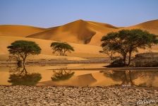 Sahara Desert. Reflection