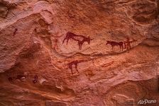 Petroglyphs of the Sahara Desert