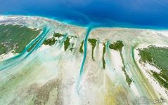 Little islands of Aldabra