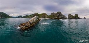 Kekurny Cape. Steller sea lions Kekurny Cape. Steller sea lions