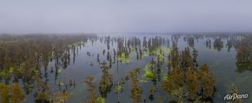 On the edge of fog On the edge of fog