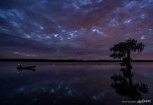 On bald cypress lake at night On bald cypress lake at night
