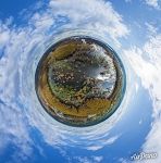 Cypress swamp in Texas. Planet Cypress swamp in Texas. Planet