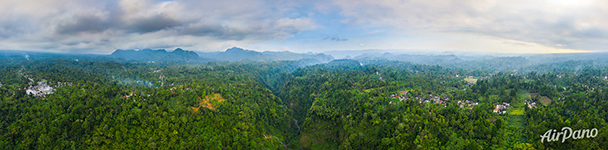 Indonesian jungle