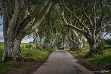 Dark Hedges Dark Hedges