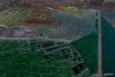 Dead Sea Dead Sea
