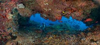 Underwater panorama. Komodo