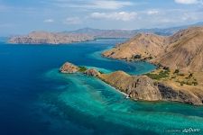 Komodo Komodo