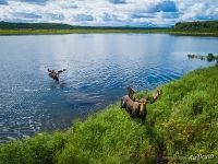 Kronotskoye Lake, Kamchatka, Russia