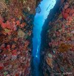 Underwater cave, Komodo, Indonesia