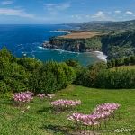 Nature of São Miguel Island Nature of São Miguel Island