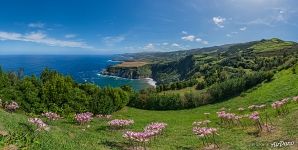 Nature of São Miguel Island Nature of São Miguel Island