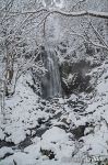 Waterfall in winter