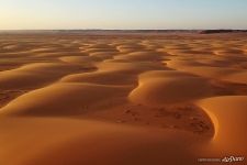 Sands of Sahara Sands of Sahara