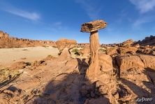 Stone mushroom Stone mushroom