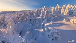 Winter land Winter land