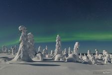 Kuntivaara Fairytale Forest and Northern Lights